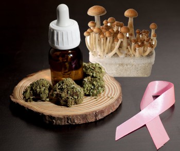 The Viral Story of How Cannabis Oil and Mushrooms Beat Stage 4 Breast Cancer, Twice!