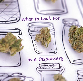 What to Look for in a Dispensary? (Characteristics of Reputable Locations)