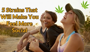 Top 5 Strains That Will Make You Feel More Social