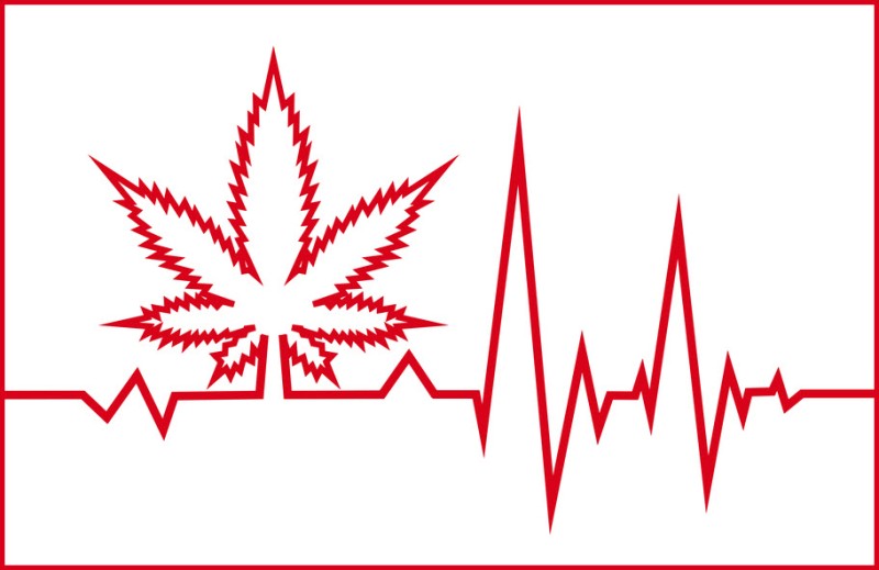 is cannabis bad for your heart