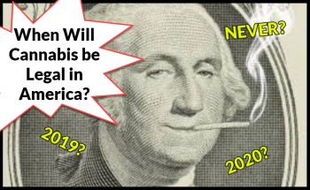 When Will Cannabis Be Federally Legal in America?
