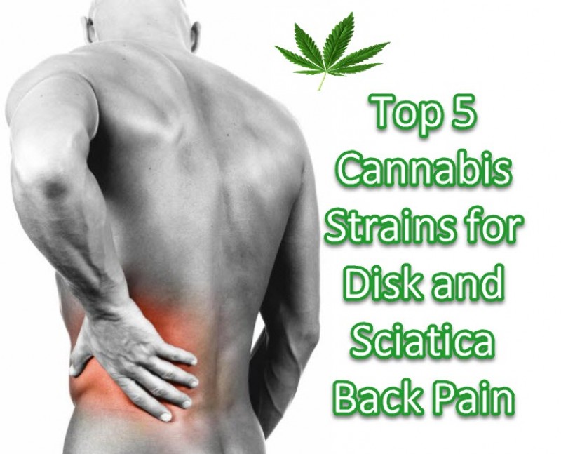 strains for disk sciatica