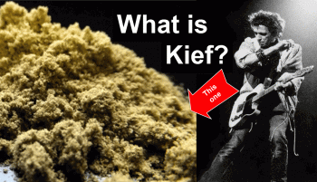 What Is Kief?