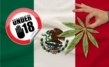 Mexico Legalizes Cannabis for Anyone Over 18-Years-Old, Should the US Do the Same?