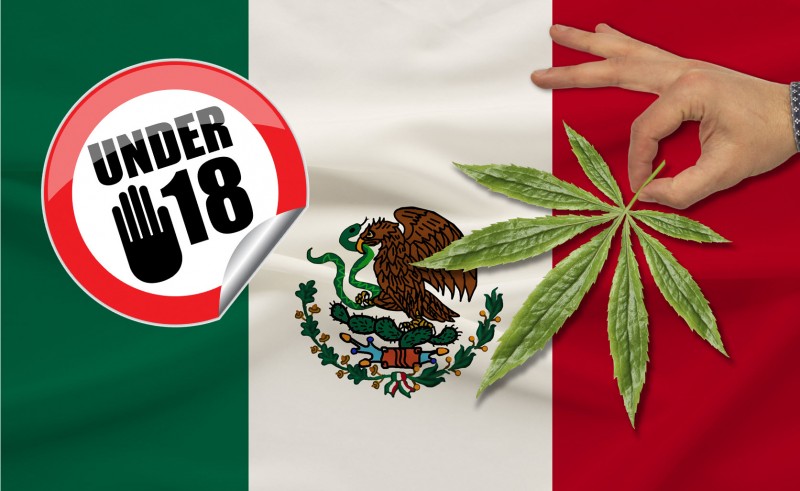 Mexico Legalizes Marijuana for 18 and Up