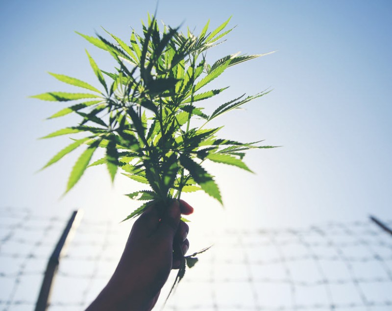 American dies in Bali prison for weed