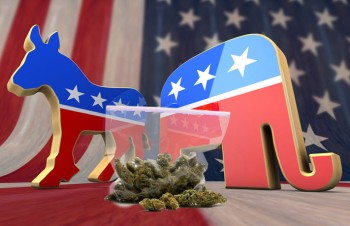 Is the Republican's Bill to Legalize Marijuana Dead-On-Arrival if Mitch McConnell Doesn't Support It?