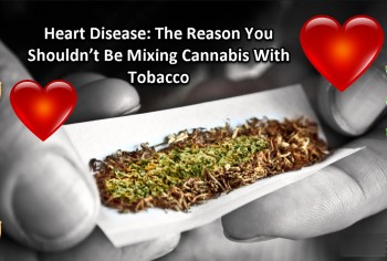 Heart Disease: The Reason You Shouldn’t Be Mixing Cannabis With Tobacco