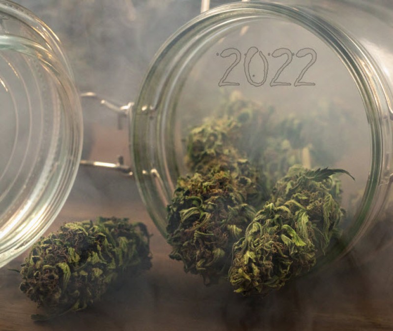 popular cannabis strains in 2022