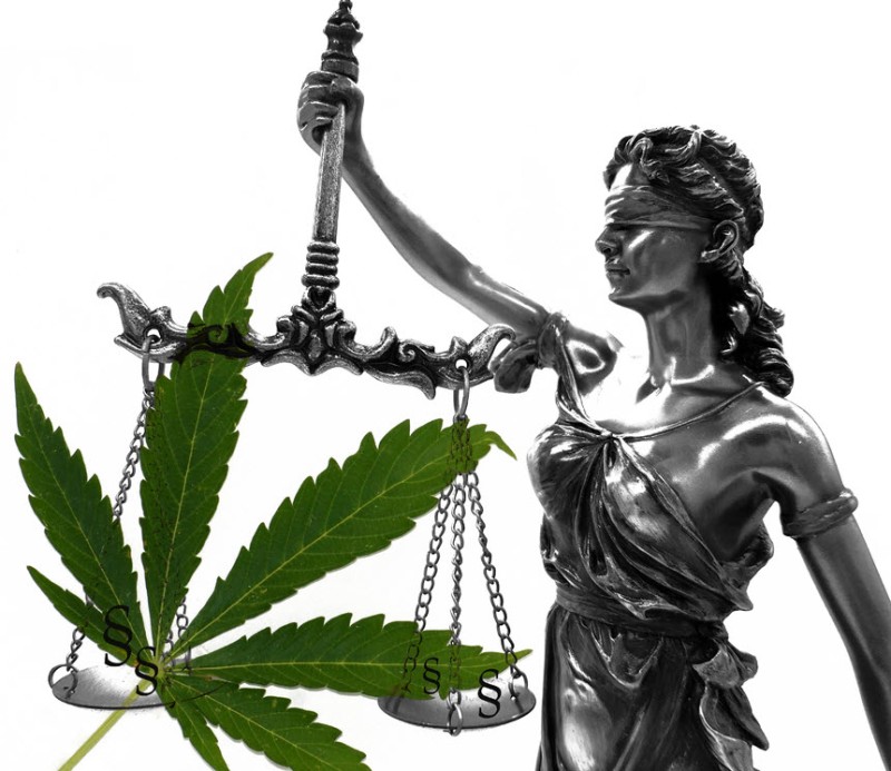cannabis attorney