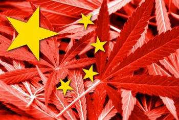 Inside a Chinese Run Illegal Cannabis Farm - The Human Cost of Marijuana Prohibition