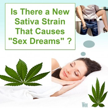 Is There A Mad Sativa Strain Causing Sex Dreams?