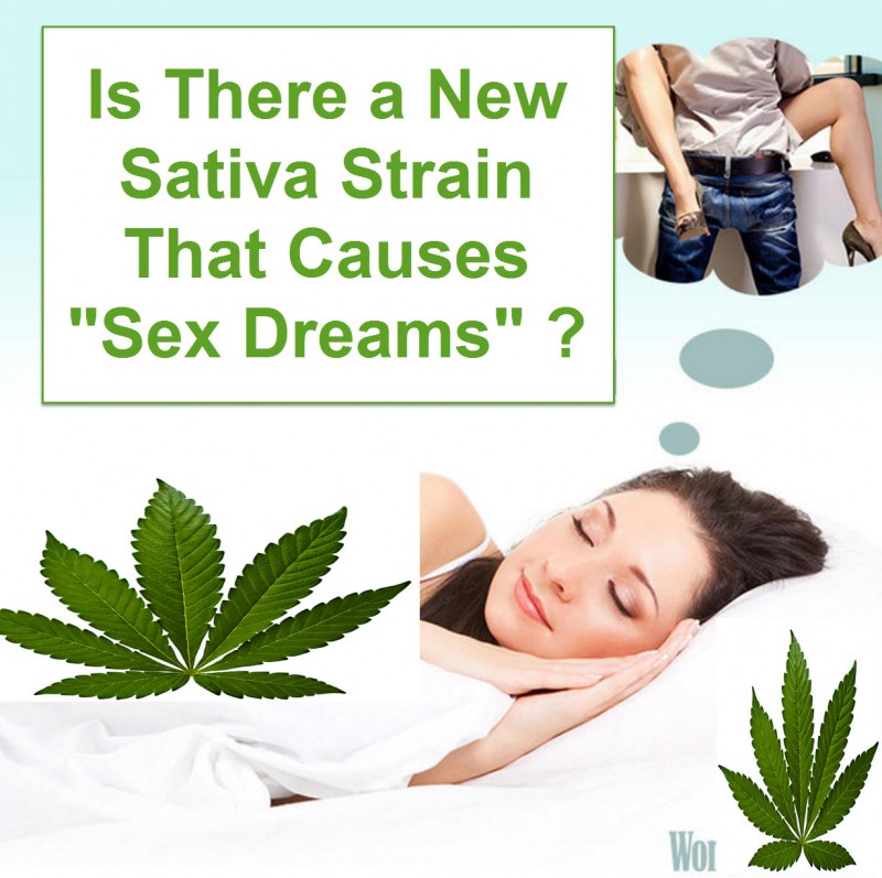 Cannabis Sex Dreams