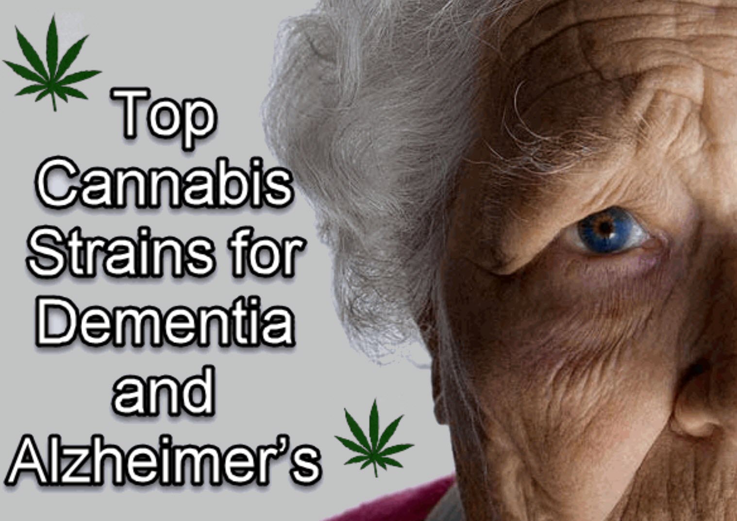 Top Cannabis Strains For Dementia And Alzheimer’s Disease