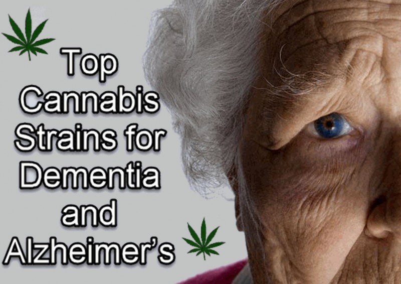 cannabis for dementia and alzheimers