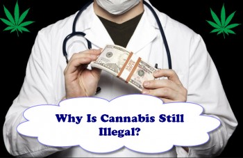 Why Is Cannabis Still Illegal?