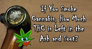Can You Get High off of the Cannabis Ashes in your Bowl or Bong?
