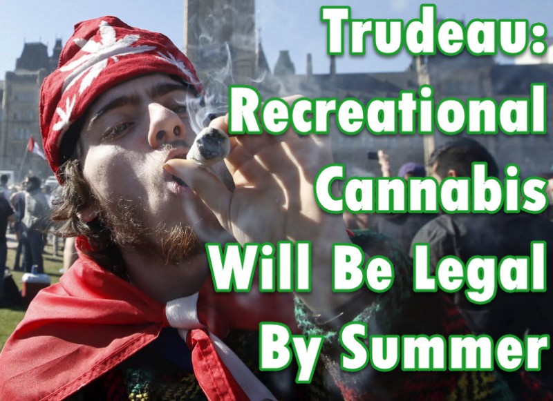 recreational cannabis