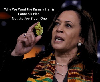 Why We Want the Kamala Harris Cannabis Plan, Not the Joe Biden One