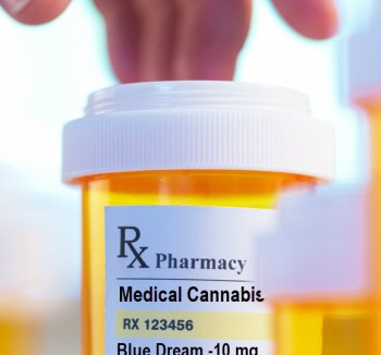 Your GP Prescribing Medical Cannabis For You? - The UK Has Issued Over 300 Cannabis-Based Prescriptions from GPs and Counting