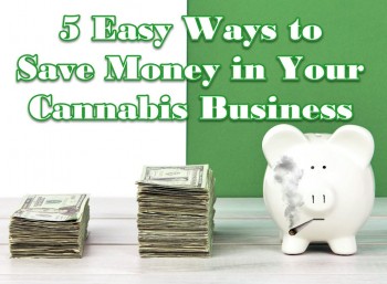 5 Easy Ways to Save Money in Your Cannabis Business During Tough Times