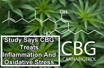 Study Says CBG Treats Inflammation And Oxidative Stress