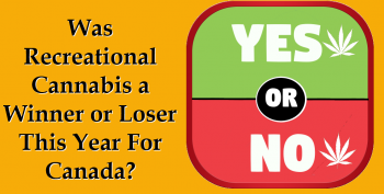 Was Recreational Cannabis a Winner or Loser This Year For Canada?