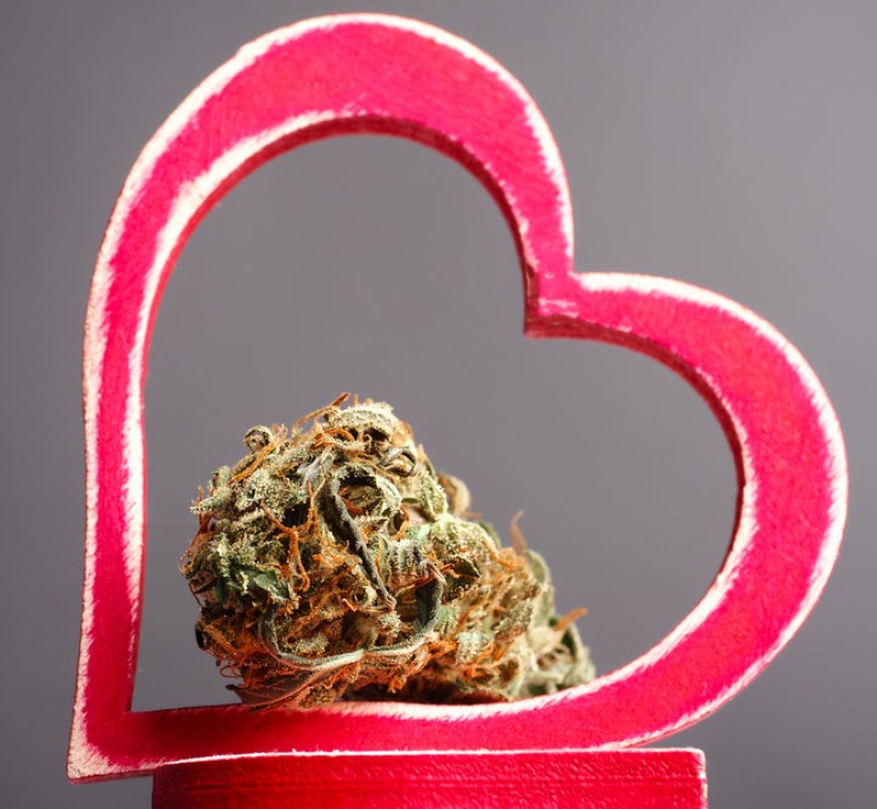 heart damaged by marijuana use?