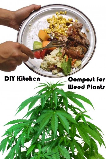 DIY Kitchen Compost for Your Cannabis Plants?