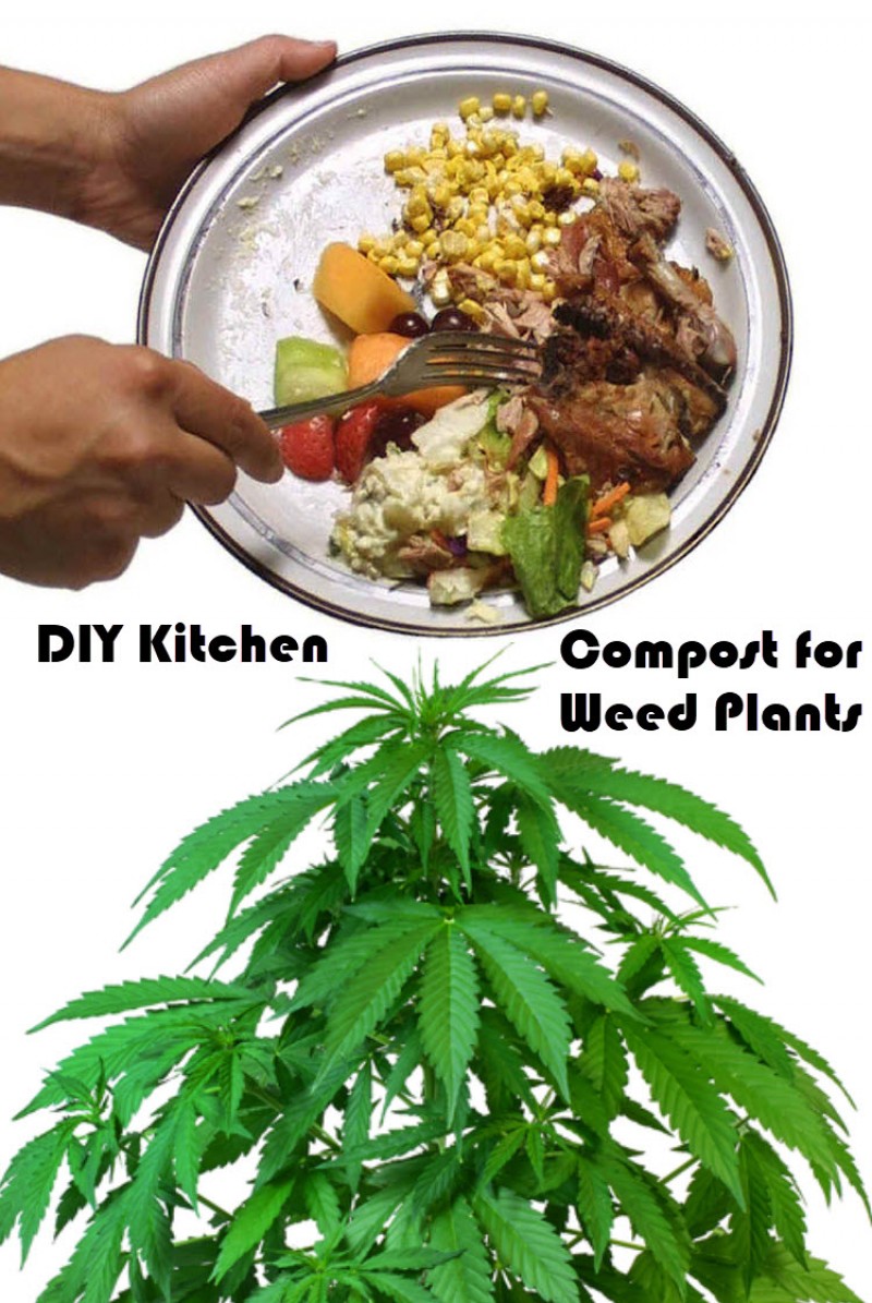 kitchen compost for cannabis plants