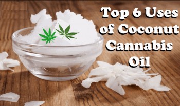 Top 6 Uses of Coconut Cannabis Oil