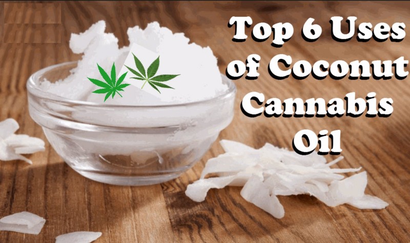 coconut cannabis oil uses