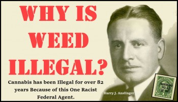 Why is Marijuana Illegal, Anyway?  Meet Harry Anslinger