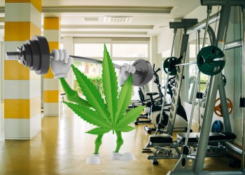 Why Does Cannabis Make Exercise So Much More Rewarding?