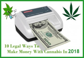 The Best Ways To Make Money With Cannabis In 2017