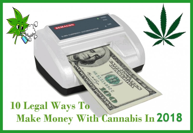 Cannabis Money Trends