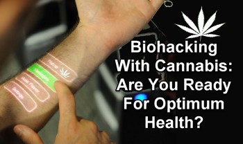 Biohacking With Cannabis: Are You Ready For Optimum Health?