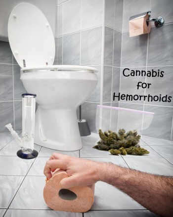 Cannabis for Hemorrhoids - Letting the Green Rush Heal the Highway
