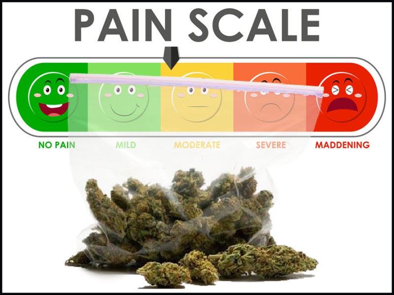 pain scale for CBD or THC