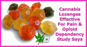 Cannabis Lozenges Effective For Pain & Opioid Dependency Study Says