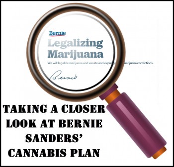 Taking a Closer Look at Bernie Sanders' Cannabis Plan