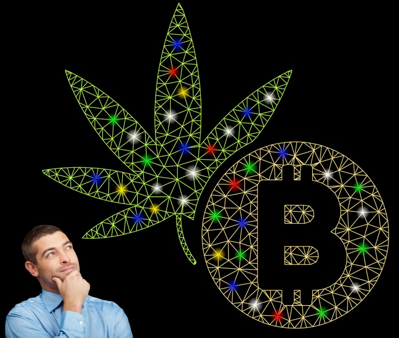 crypto or cannabis investing now