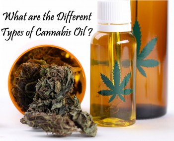 What are the Different Types of Cannabis Oil - Benefits and Recommended Applications