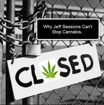 Why Jeff Sessions Can't Stop Cannabis