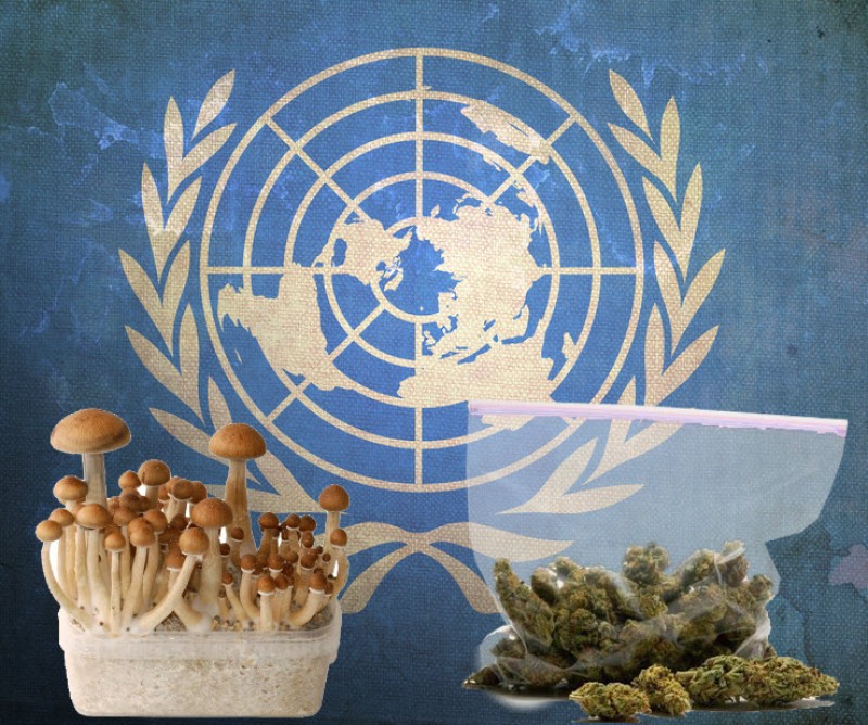 mushrooms and marijuana at the UN