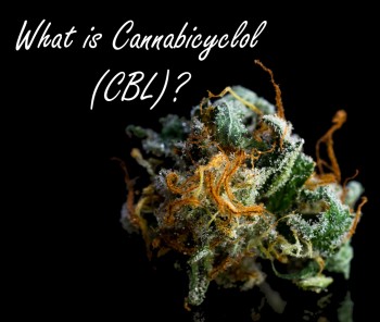 What is Cannabicyclol (CBL)? The Cannabinoid of the Future?