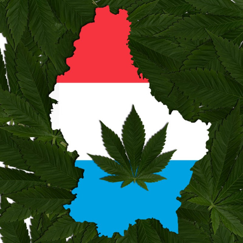 Luxembourg legalizes marijuana growing