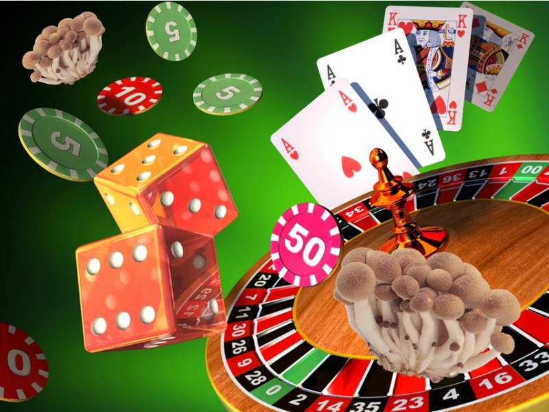 psilocybin for gambling addiction
