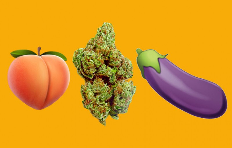 marijuana and sexual appetite