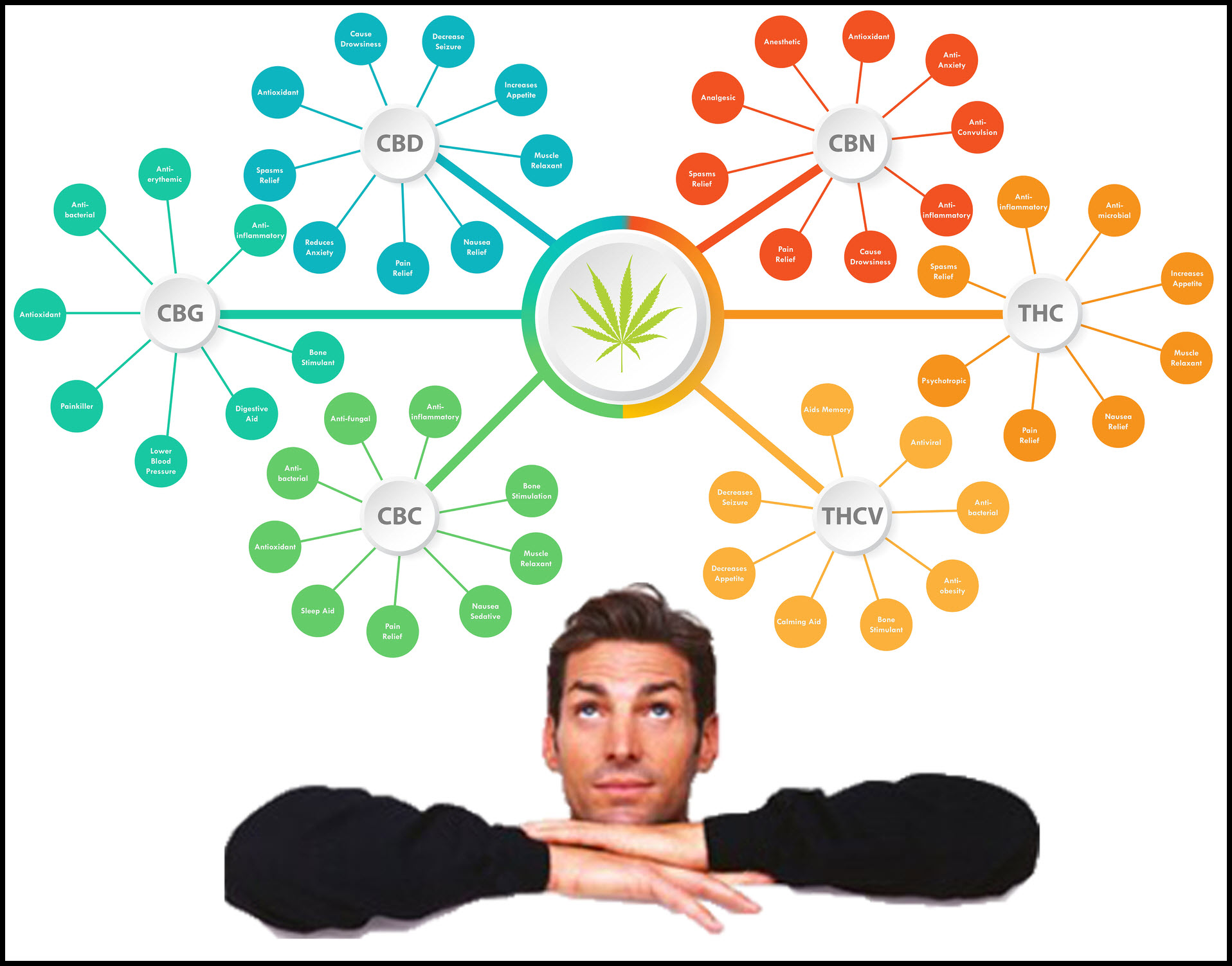 What Is The Cannabis Entourage Effect And Is It Fact Or Fiction?